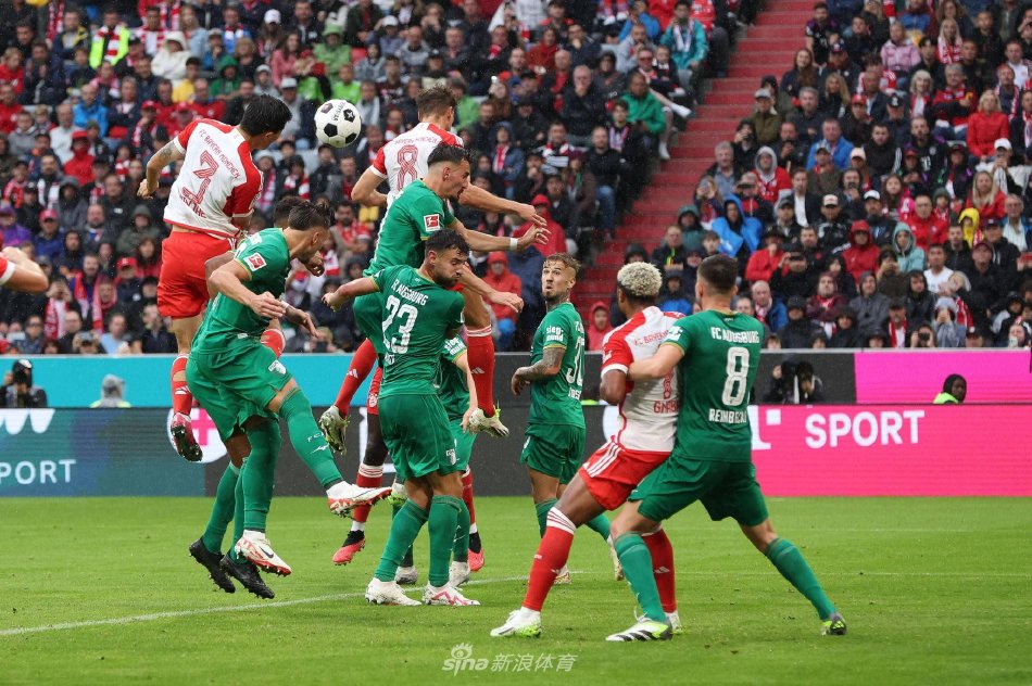 行了大胆调 行了大胆调